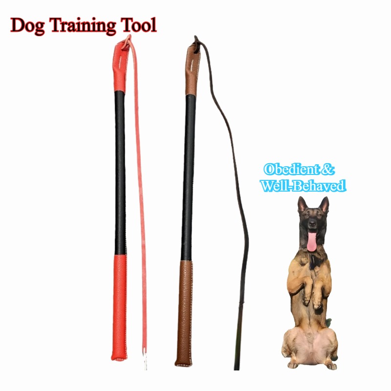 Leder-Risspeitsche – Hunde-Tra – Leatherwork Training Bewertung und Preis