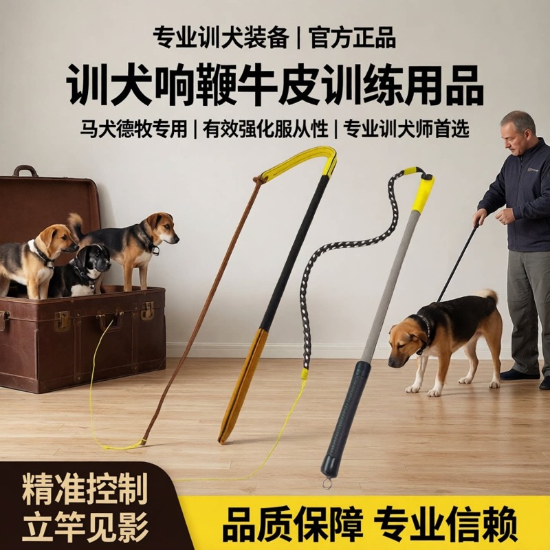 Hundetrainingspeitsche aus Led – Leatherwork Training Bewertung und Preis