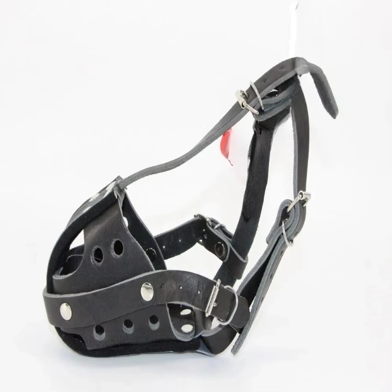 Taktischer Hundemaulkorb aus L – Leatherwork Training Bewertung und Preis