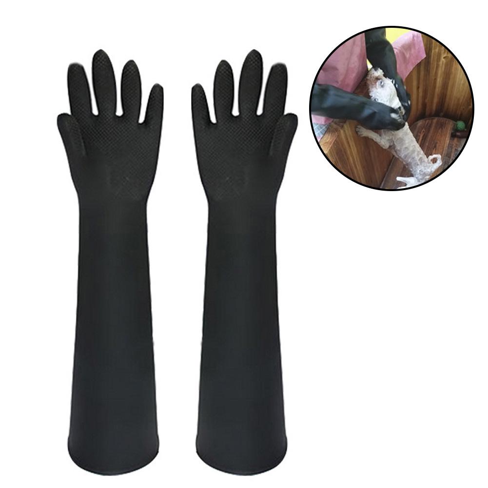 Haustierhandschuhe, Leder, Ant – Leatherwork Training Bewertung und Preis